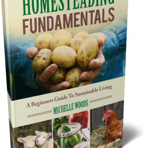 Homesteading Fundamentals 3D Mockup